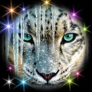 Meet your Posher, Annette